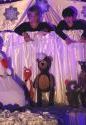 tn_21415_halabala_o_snehuliakovi_26.jpg