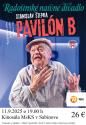 pavilon_b_-_kopia