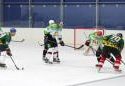 tn_8070_beneficny_hokej_18.jpg
