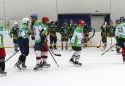 tn_8074_beneficny_hokej_22.jpg